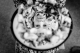 Thumbnail Braut im Spiegel